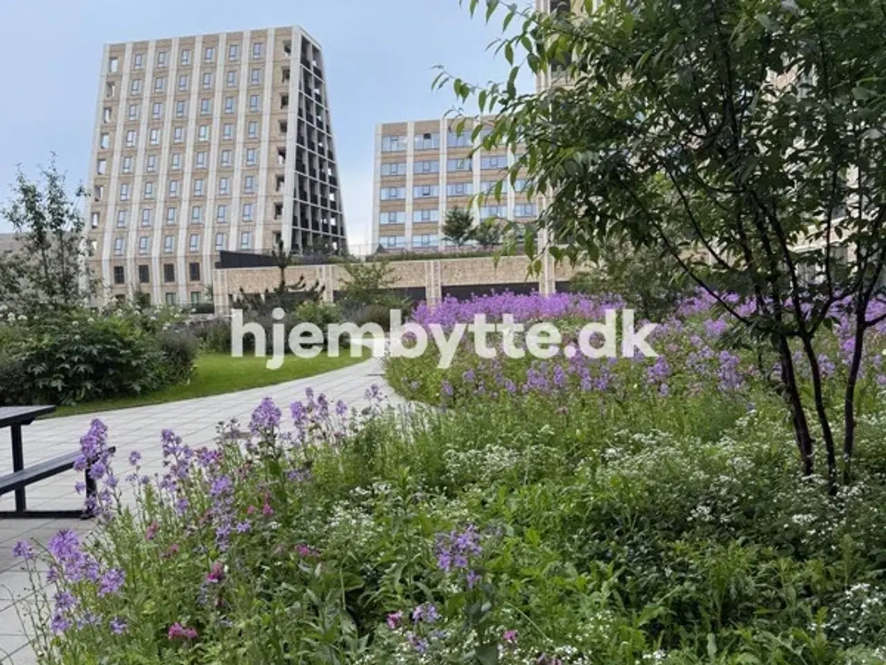 Billede 2 - Hjembytte - Papirøen