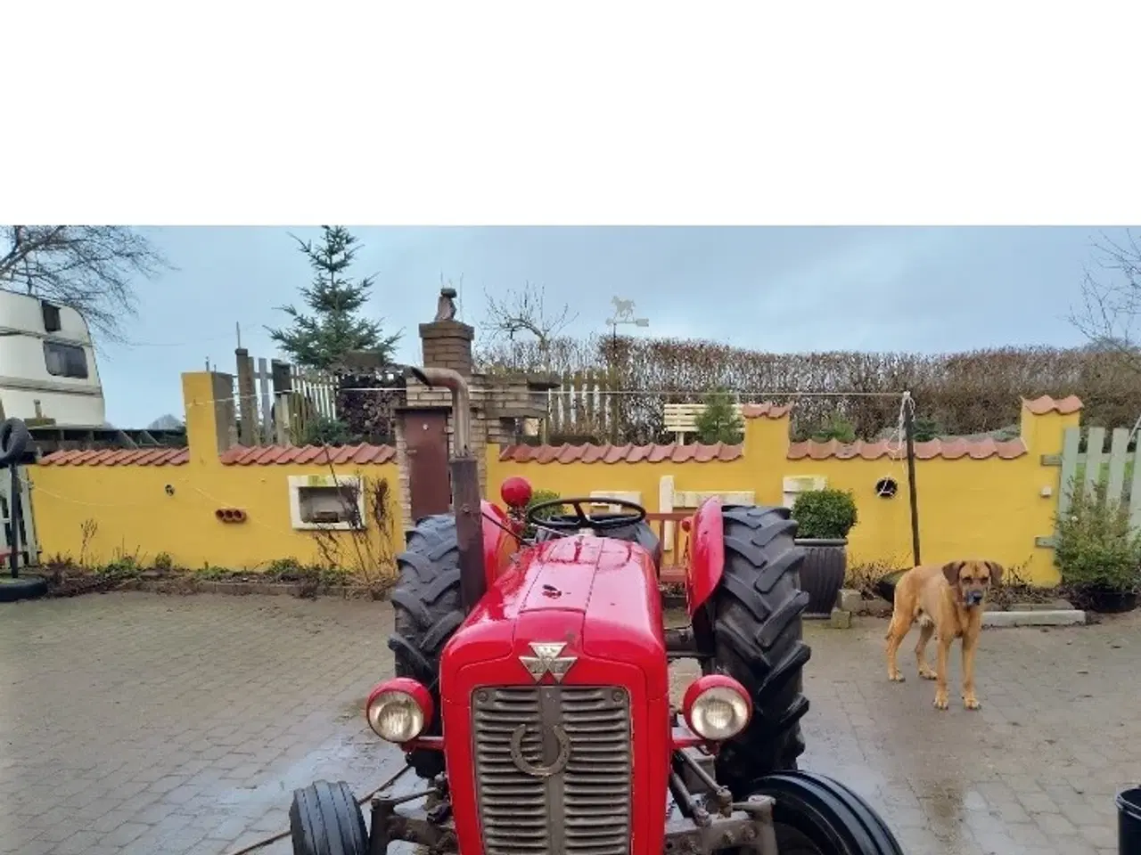 Billede 5 - 35 benzin MF.
