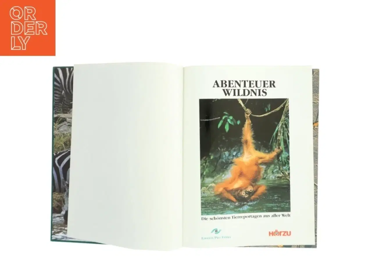 Billede 2 - Abenteuer wildnis