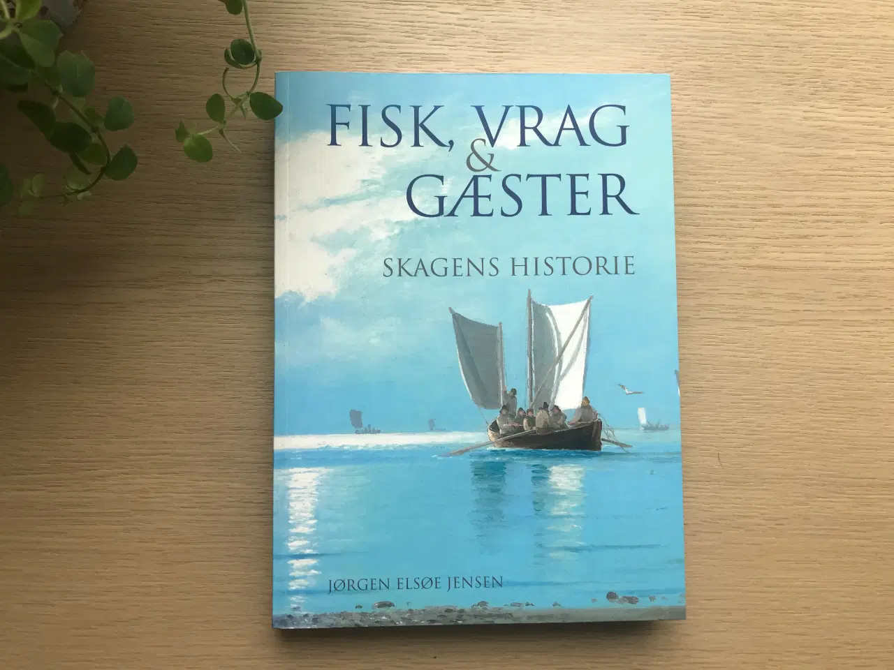 Billede 1 - Fisk, Vrag & Gæster  -   Skagens Historie