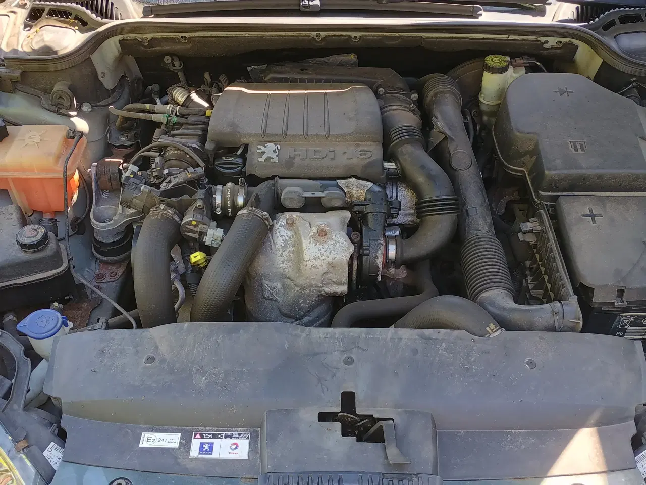 Billede 5 - 407