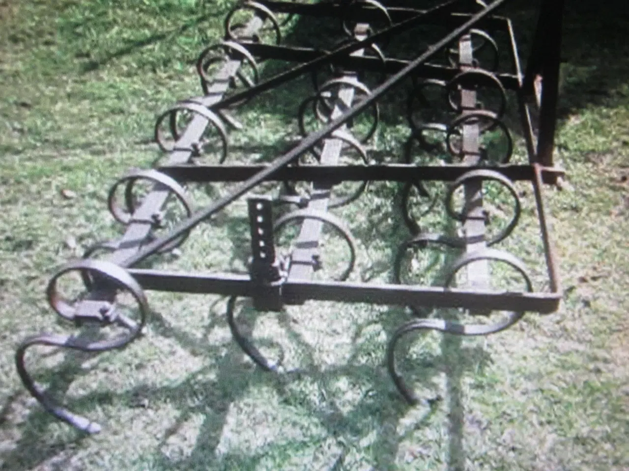 Billede 1 - Lille Harve