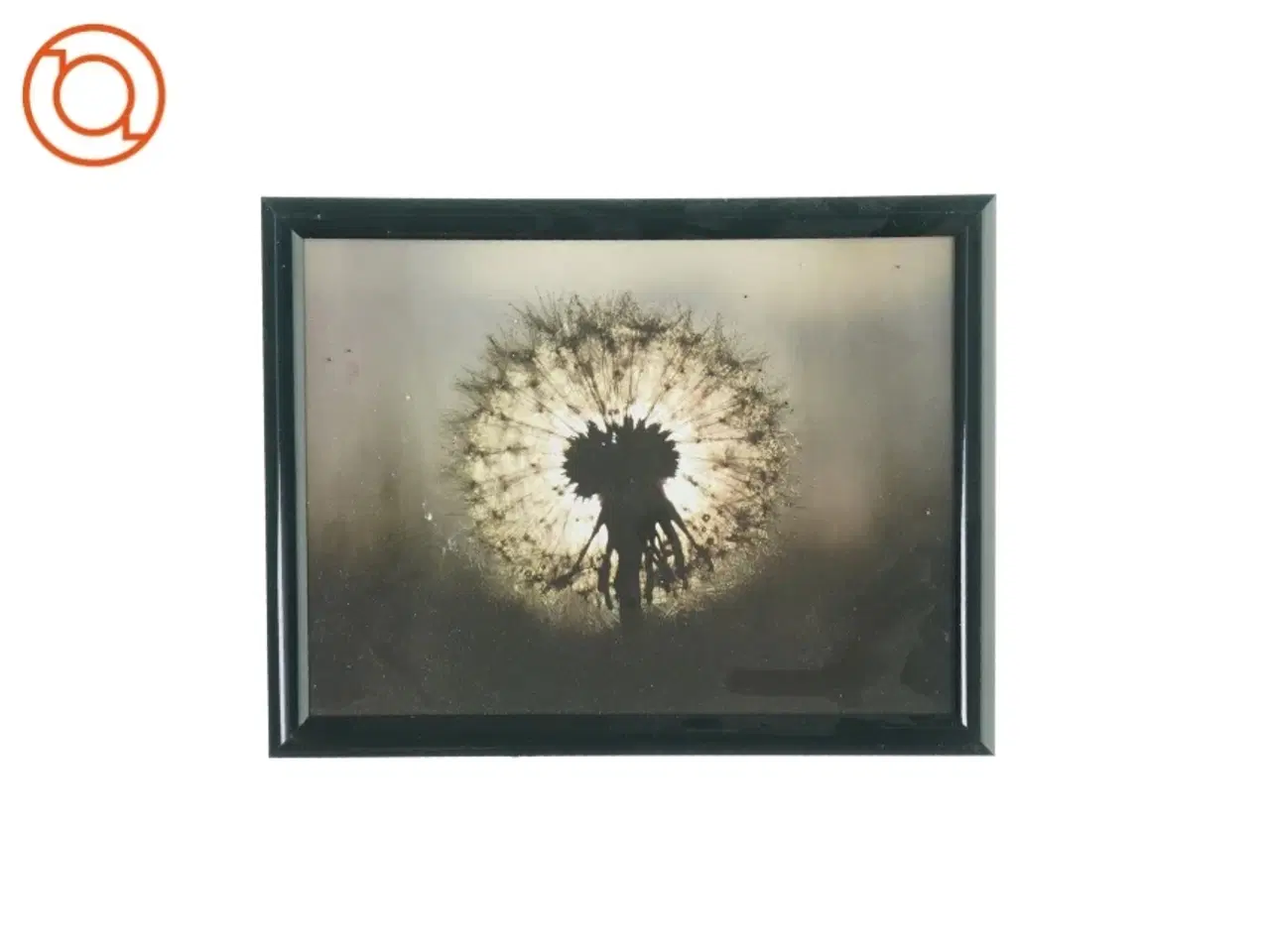 Billede 1 - Billedramme med billede  (str. LB: 27,5x21cm)