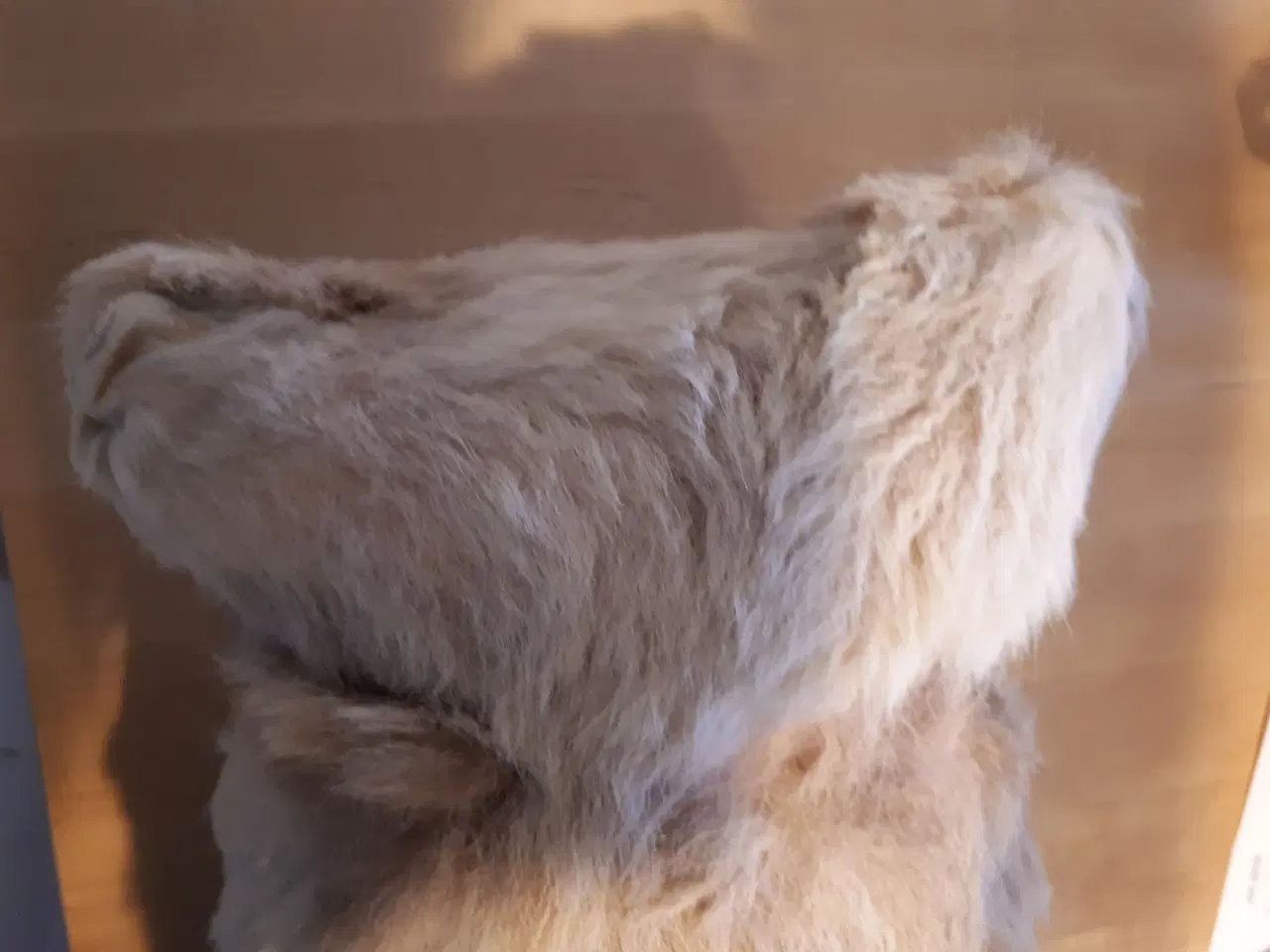 Billede 2 - Aussie koala 