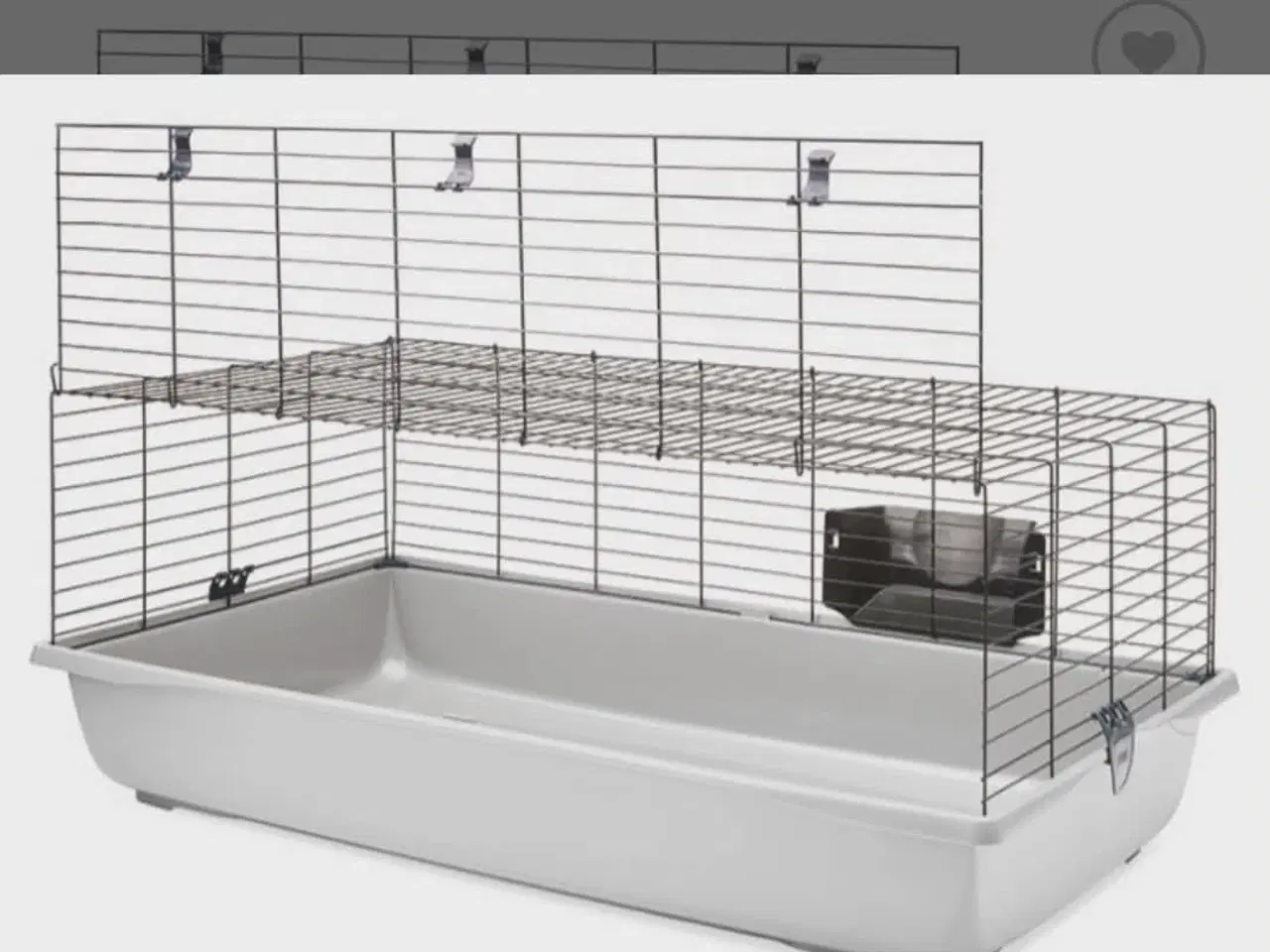 Billede 11 - 2 stk unge hunner med bur 