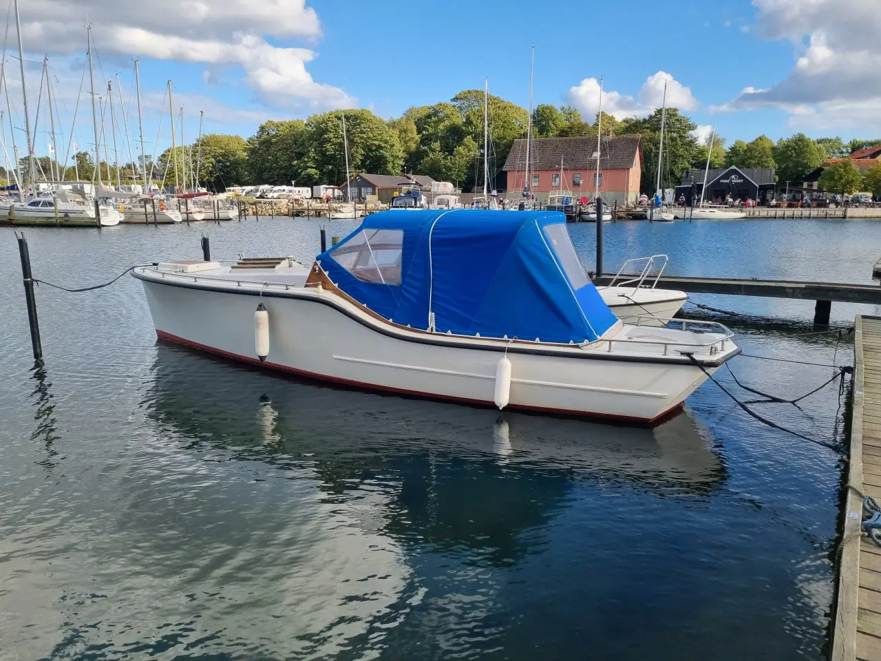 Billede 1 - Arkavi til salg