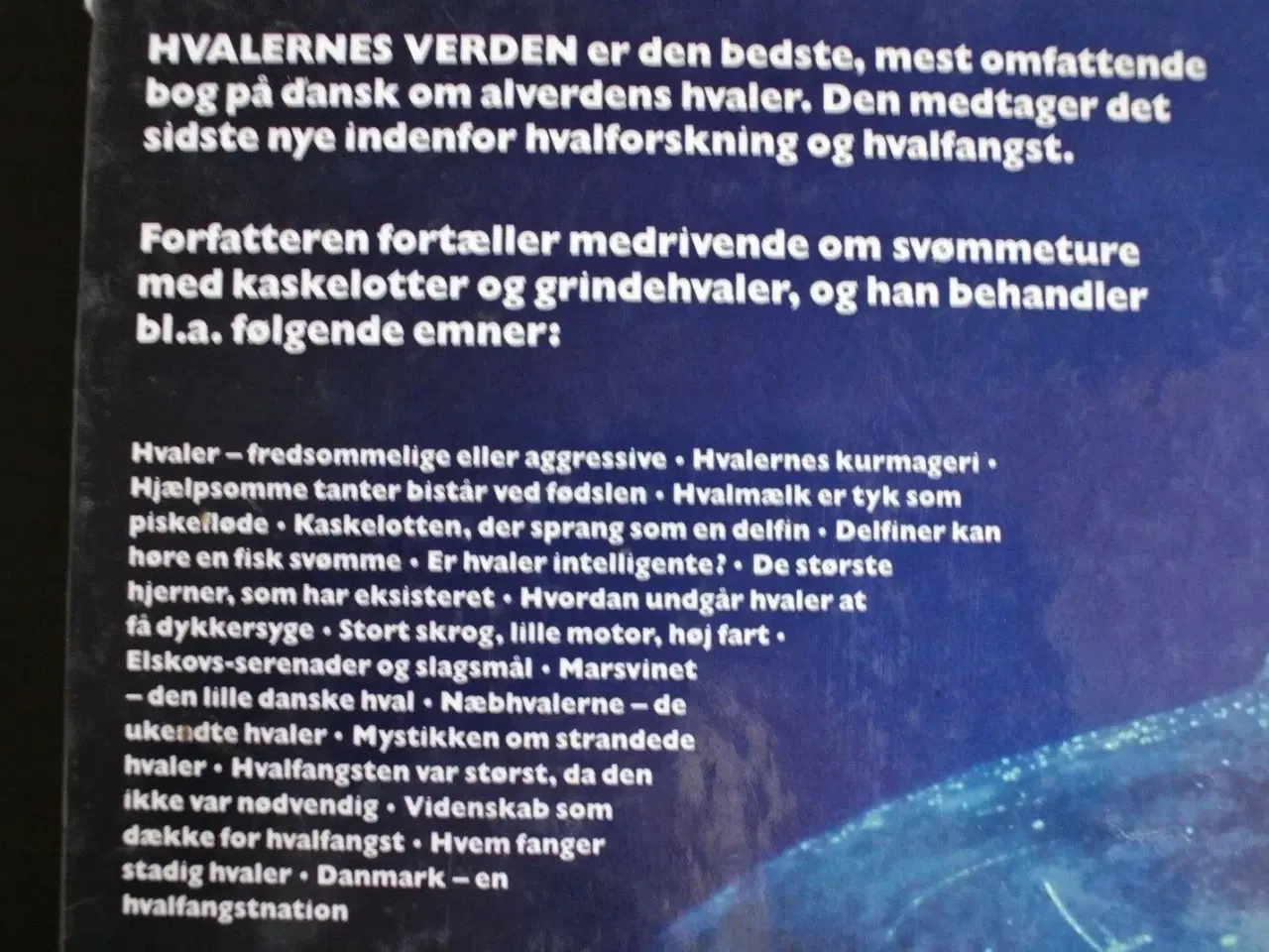 Billede 2 - hvalernes verden - deres gådefulde liv, af willy j