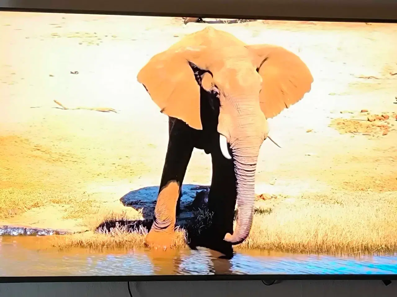 Billede 9 - Rigtig lækkert Samsung 65 QLED Smart TV