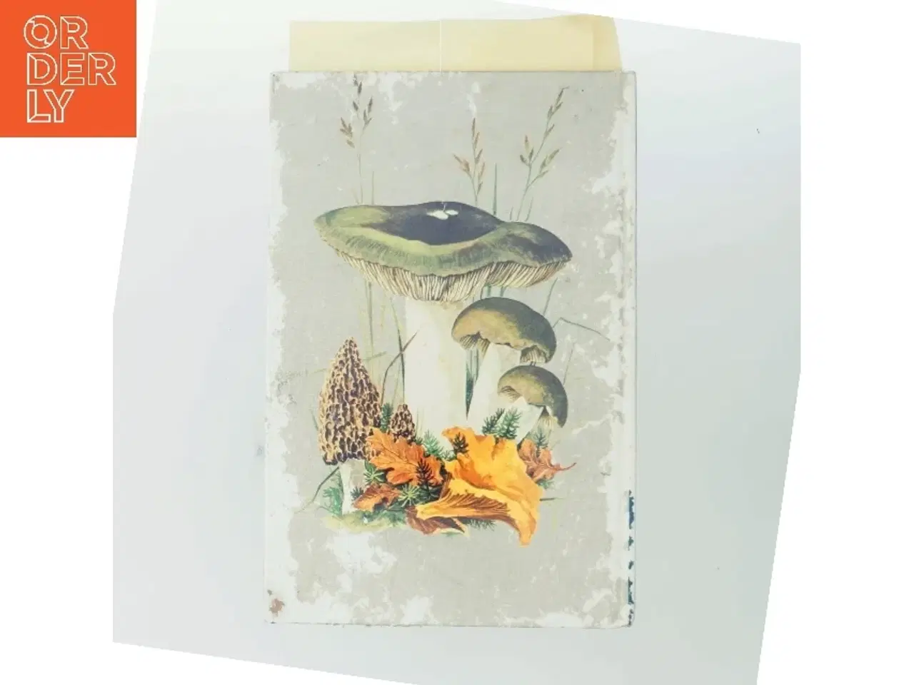 Billede 3 - Madsvampe i farver af <Bog ikke angivet forfatter< (Bog)