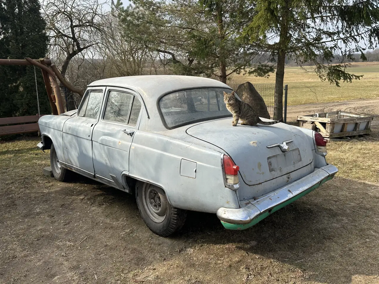 Billede 10 - Gaz 21 wolga, volga