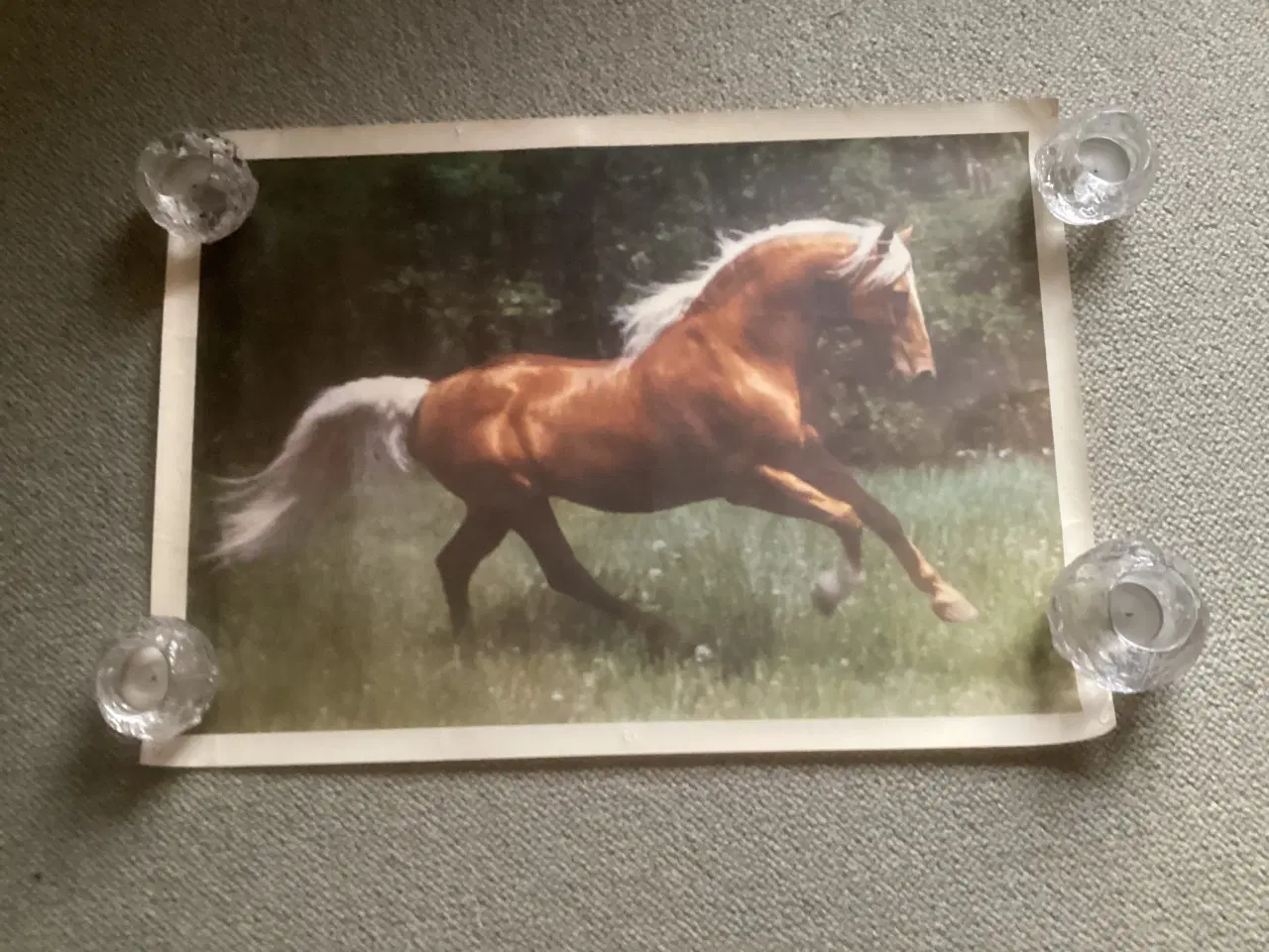 Billede 2 - Hesteplakat