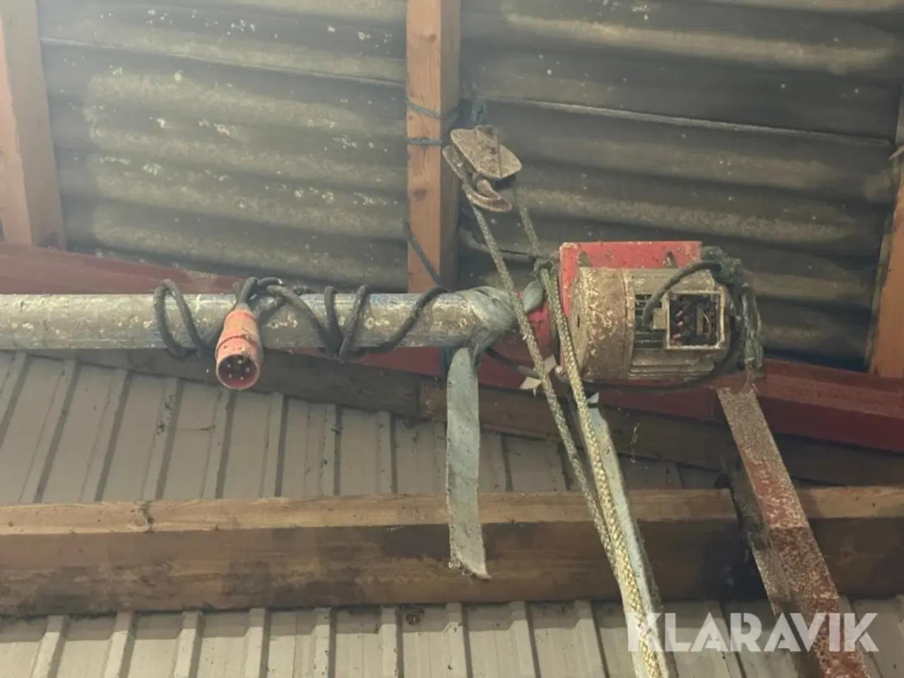 Billede 2 - Kornsnegl