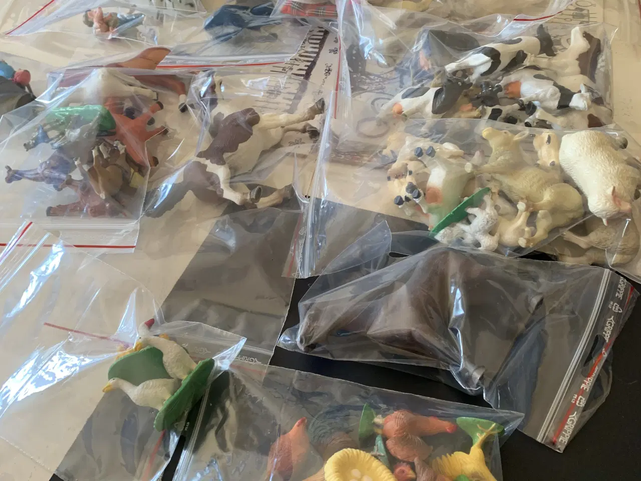 Billede 1 - Forskellige heste grise køer ,hunde og høns i god 