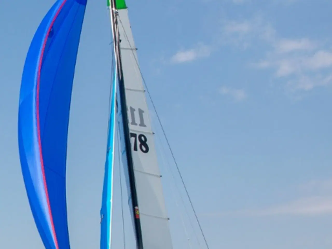 Billede 2 - Hobie 16, 2022 Worlds boat #49