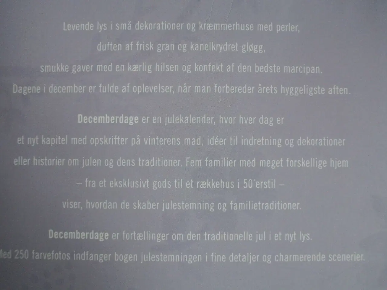 Billede 3 - decemberdage, af birgitta wolfgang drejer og dorri