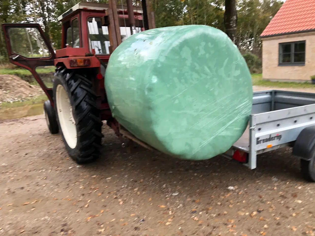 Billede 7 - Wrap-hø - 500 kg - rundballer