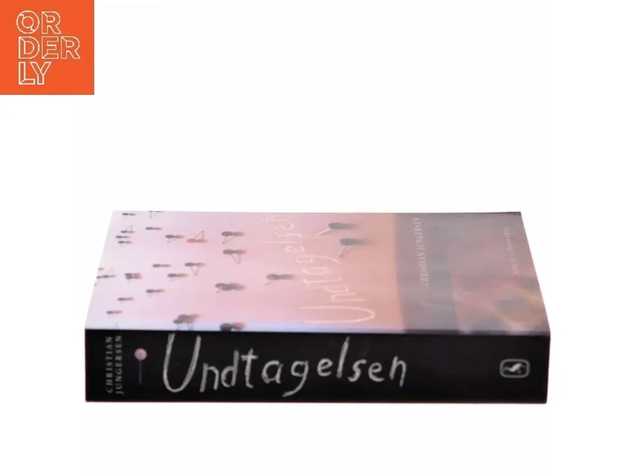 Billede 2 - Undtagelsen af Christian Jungersen (Bog)