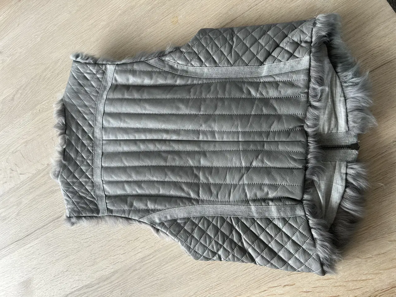 Billede 2 - Gustav Vest