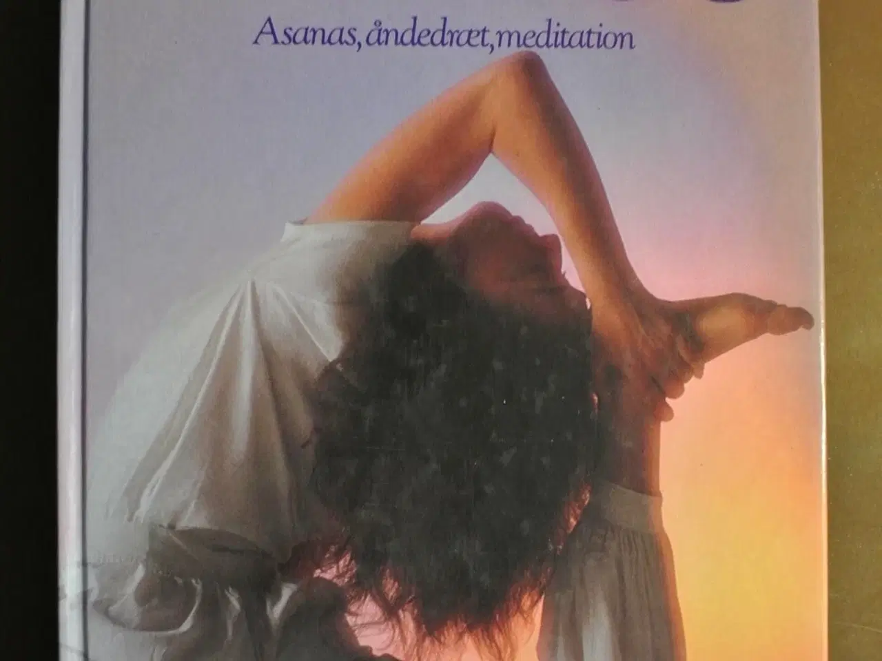Billede 1 - politikens yogabog - asanas åndedræt meditation af