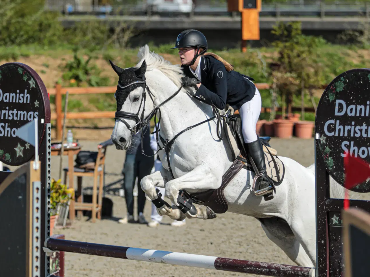 Billede 2 - Spring pony med kæmpe talent 