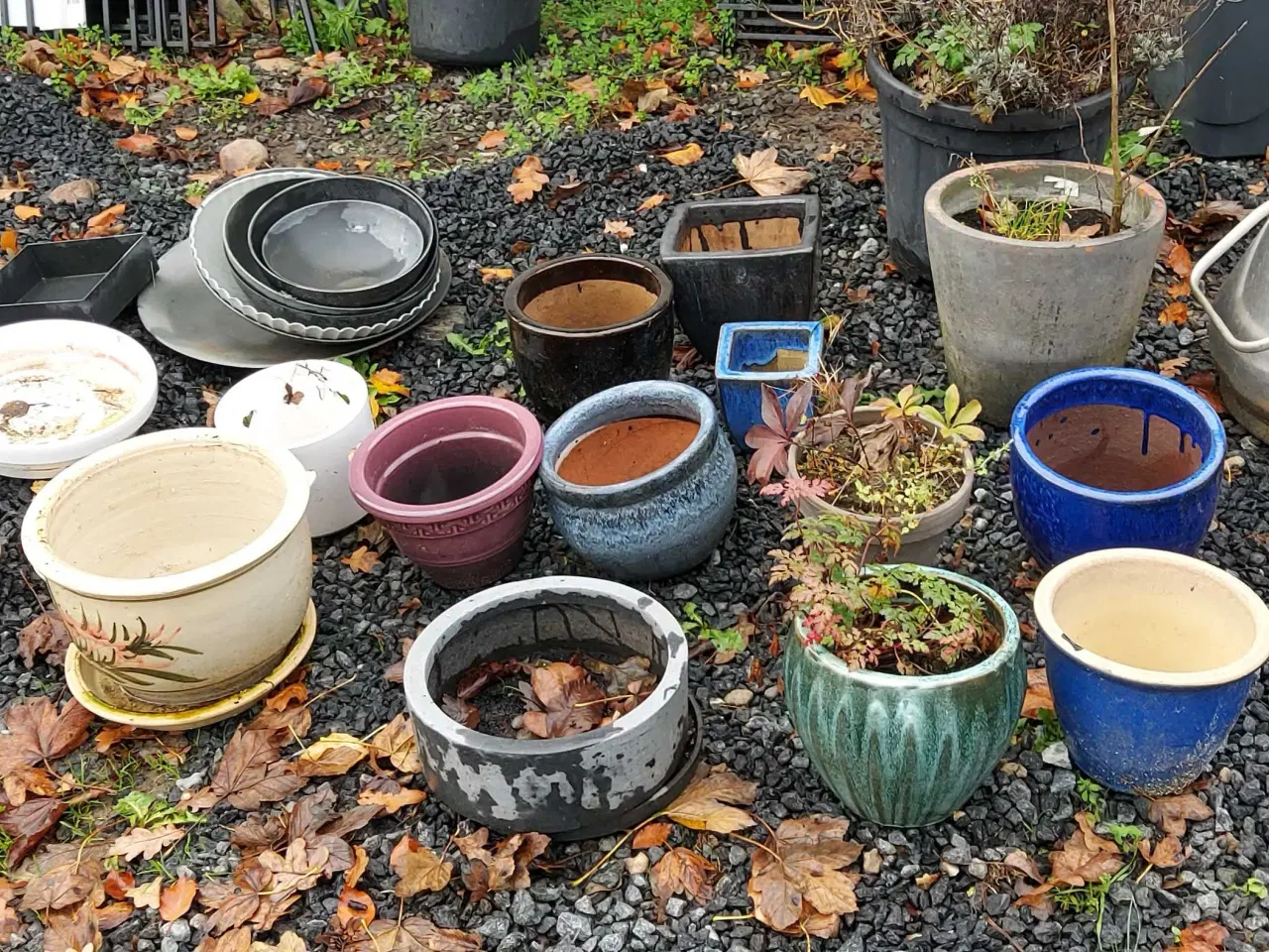 Billede 1 - Krukke lot