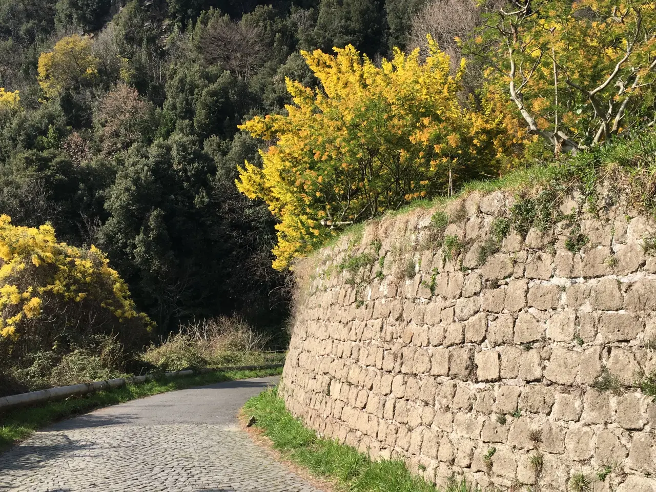 Billede 2 - Italien, time share lejlighed i uge 10