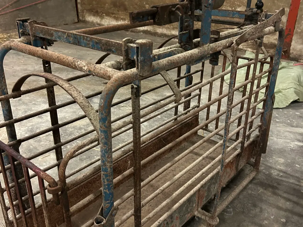 Billede 2 - Grise vægt