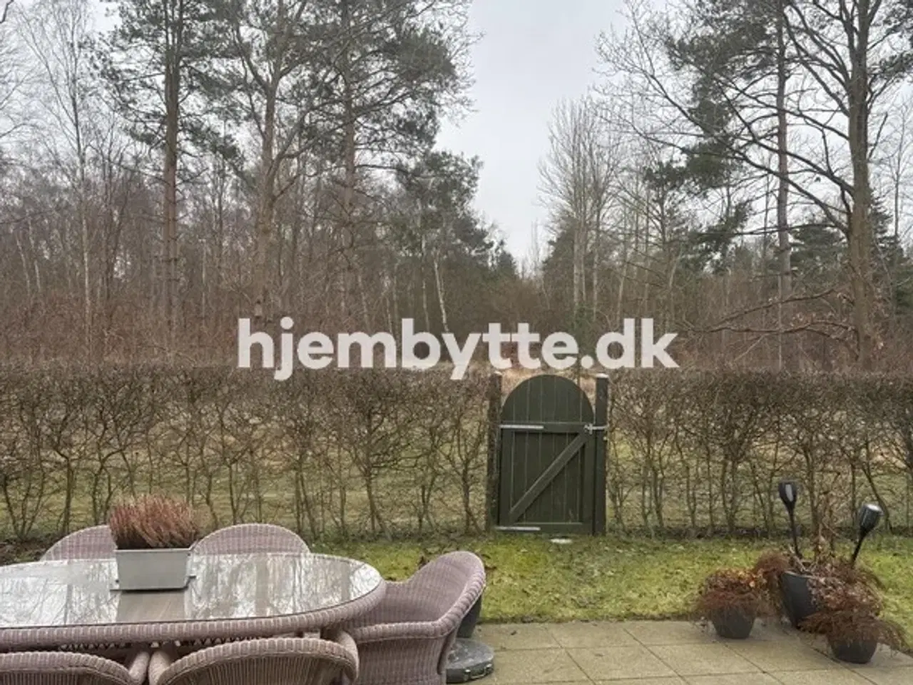 Billede 2 - Hjembytte - HyldAger