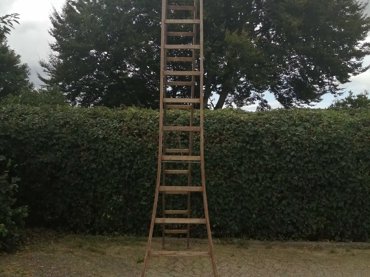 Billede 6 - Wienerstige 3,5 m træstige 7 m