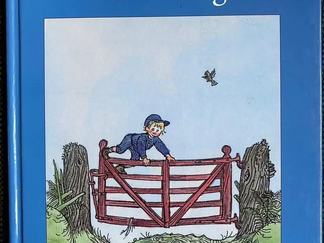 Billede 1 - Emil fra Lønneberg 