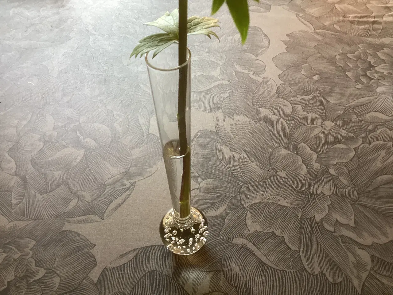 Billede 2 - Orkidevase klar glas 25 cm
