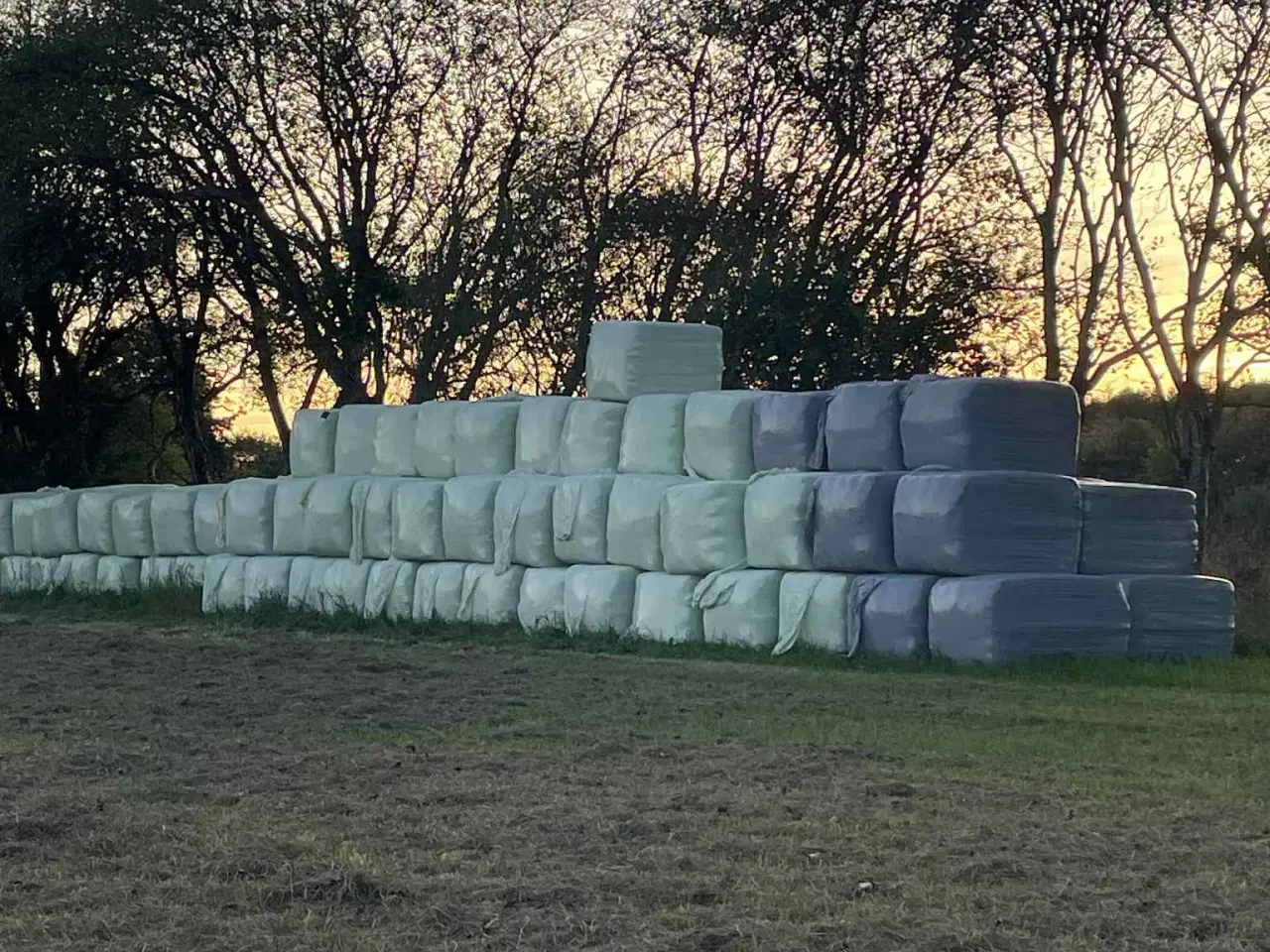 Billede 3 - 🌾💚 LÆKKERT WRAP-HØ TIL SALG – FRISKT, RENT OG KL