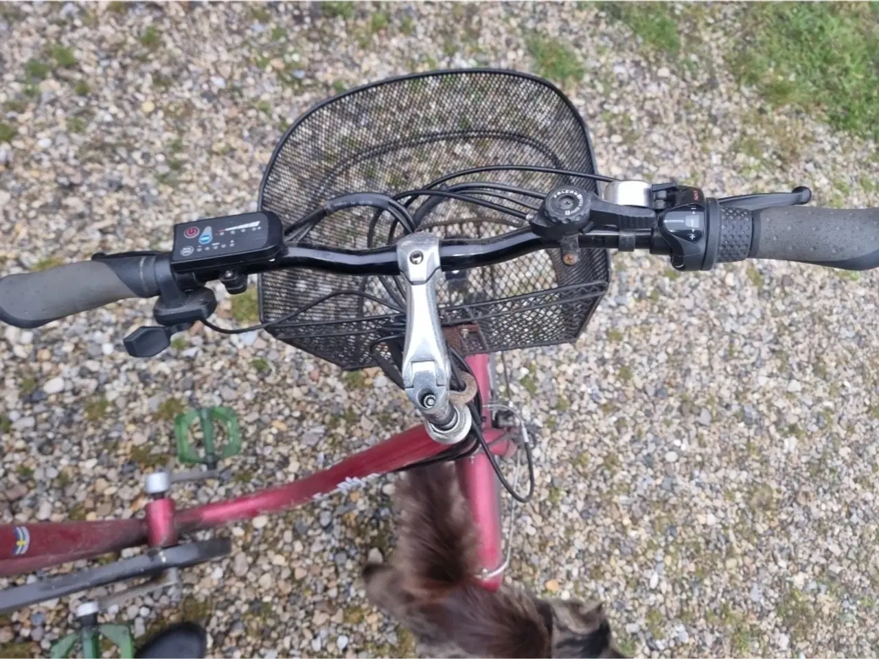 Billede 3 - EL Cykel 3 hjulet 