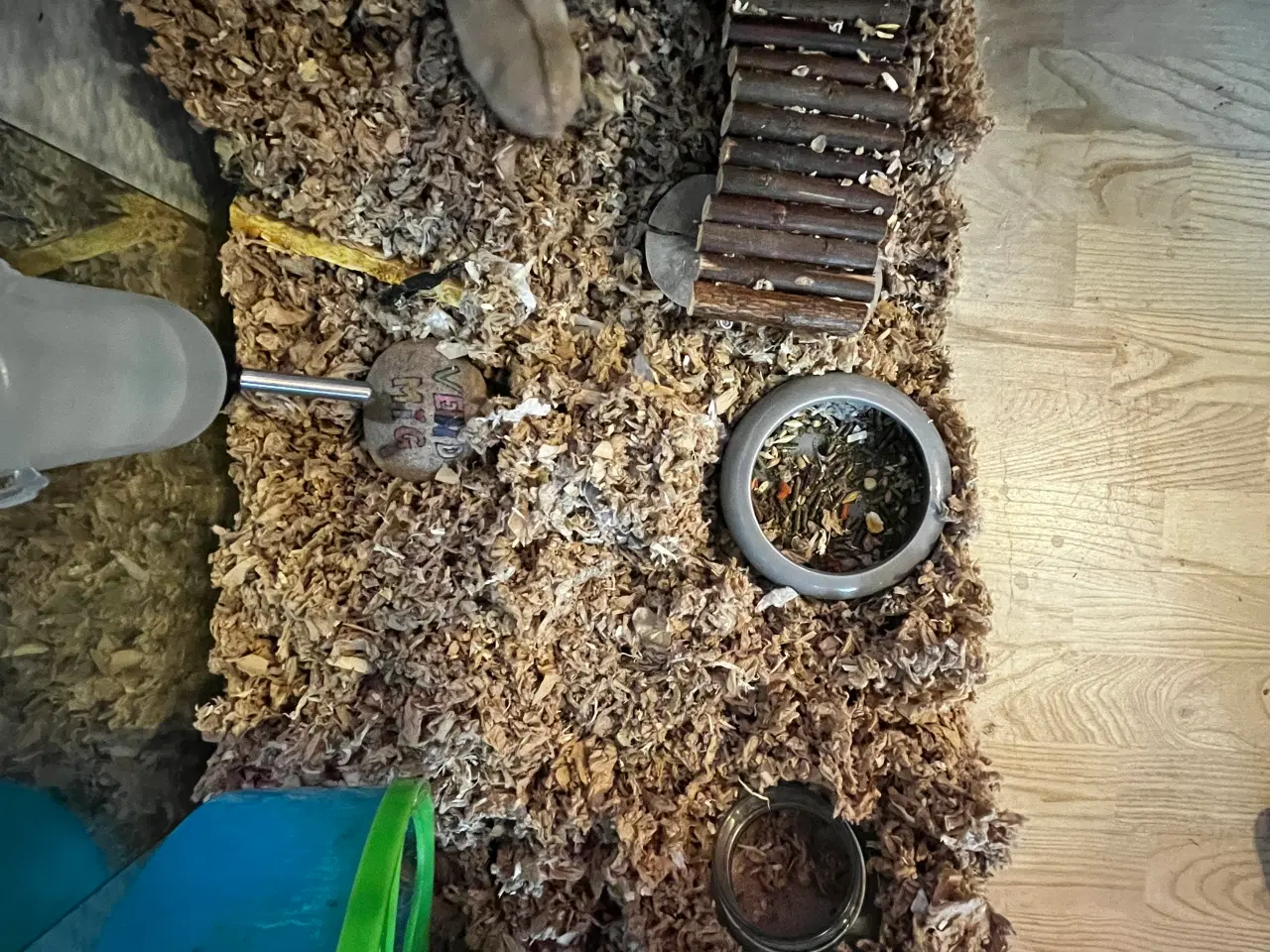 Billede 5 - Hamster + hamster ting/ bur