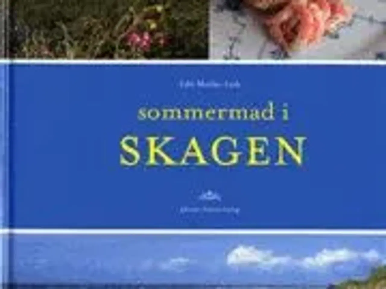 Billede 1 - Sommermad i Skagen