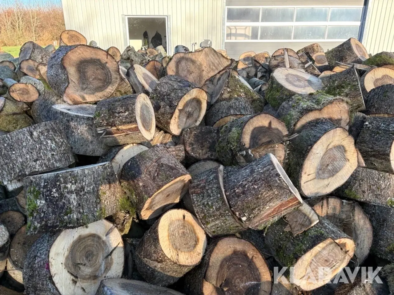 Billede 12 - Poppeltræ cirka 90 rummeter