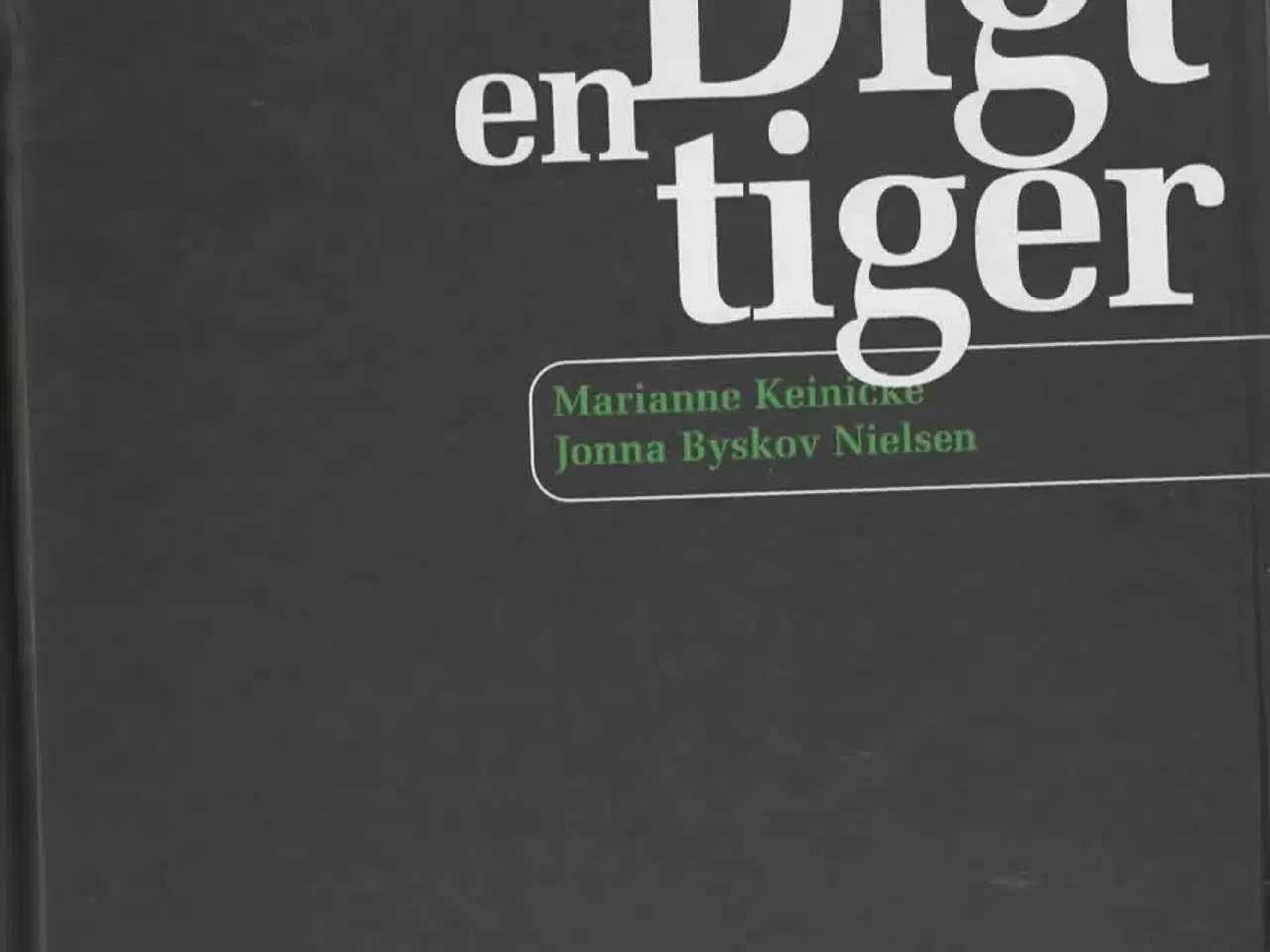 Billede 2 - Danskundervisning