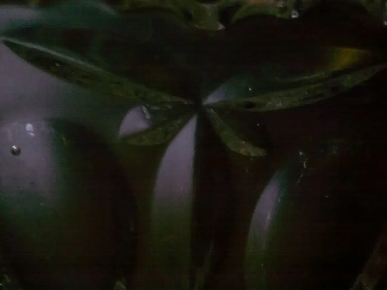 Billede 8 - Sommerfugl ROLF Fyens Glasværk 1934 fodskål vase