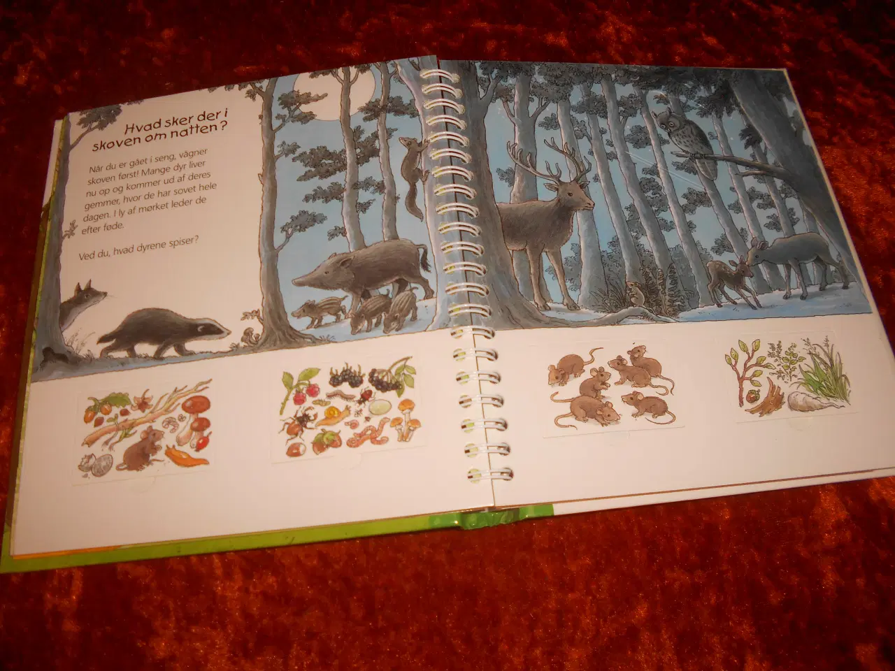 Billede 4 - I skoven, Angela Weinhold