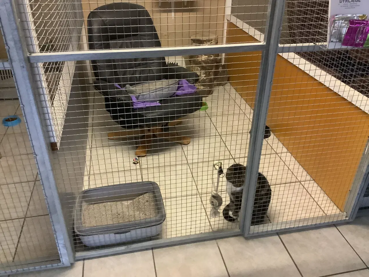 Billede 4 - Burer til kattepension sælges