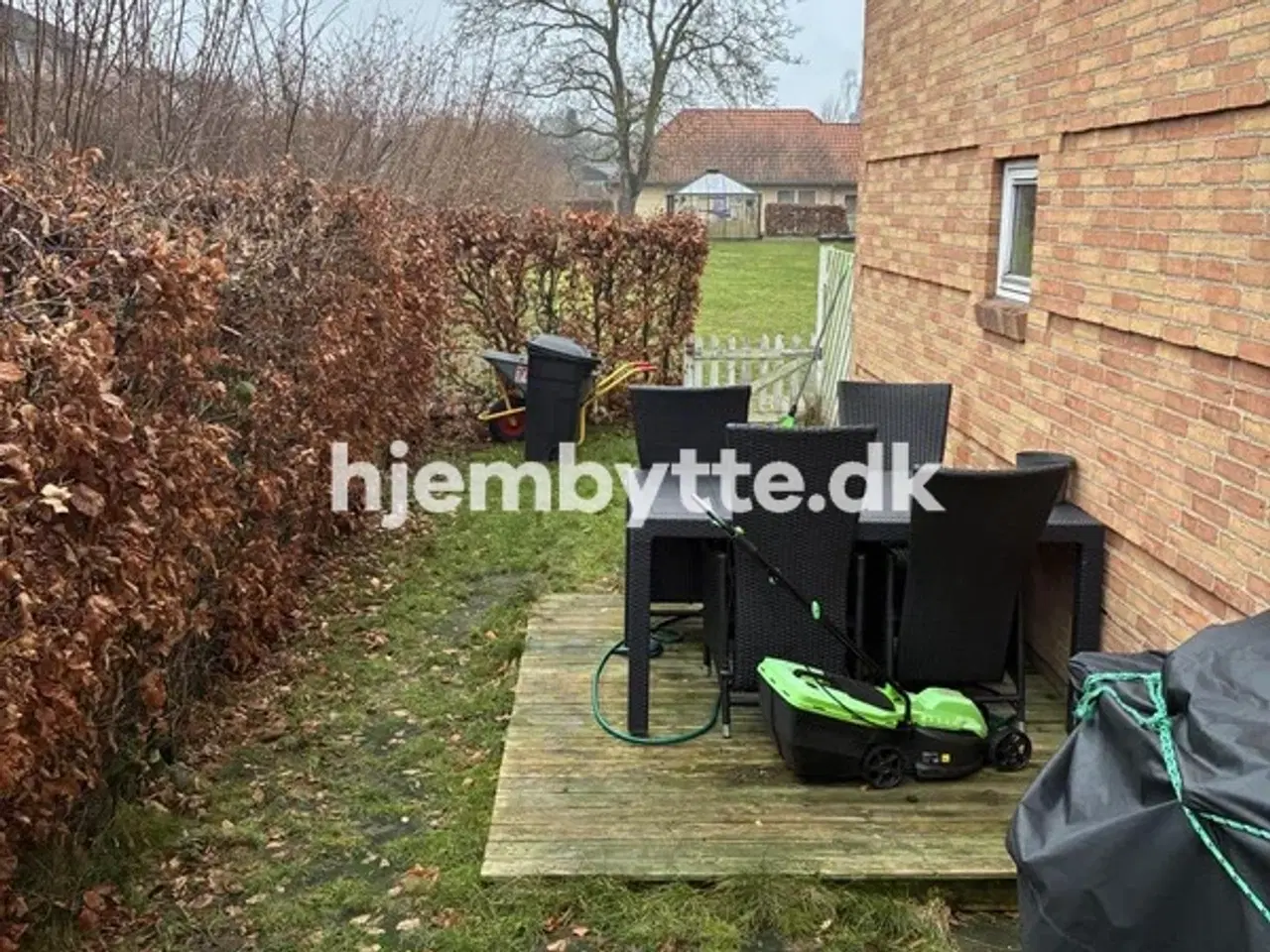 Billede 6 - Hjembytte - Nødebohave