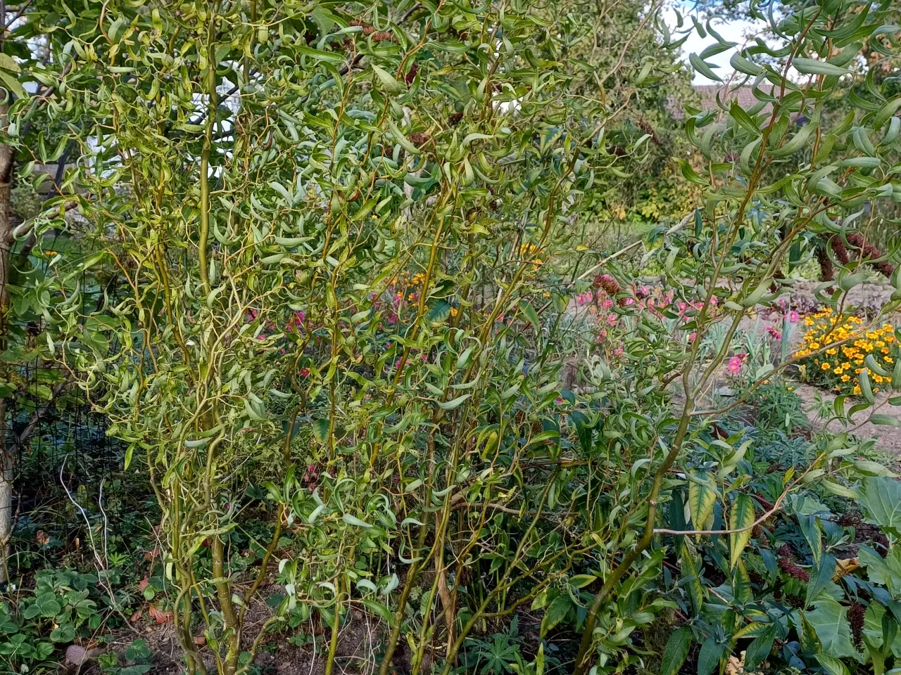 Billede 10 - Dekorationsmateriale til krukker, kranse mm.