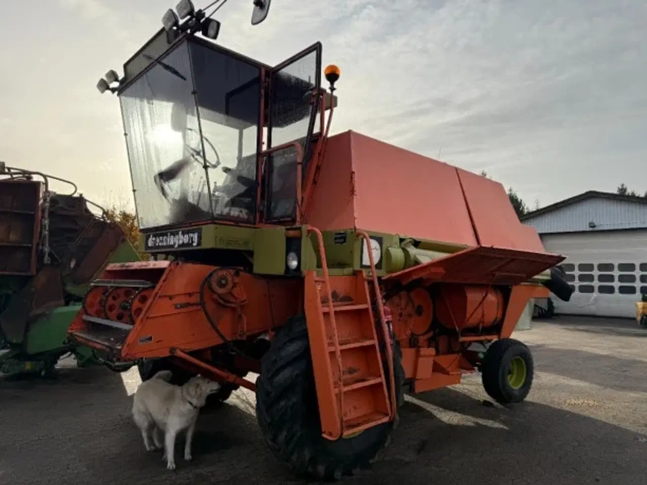 Billede 17 - Dronningborg D1900 Til salg!