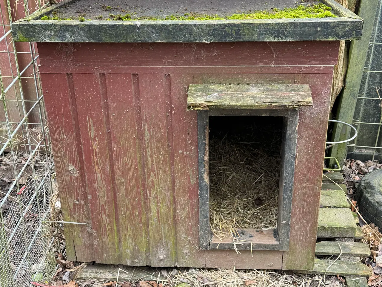 Billede 1 - Hundehus isoleret