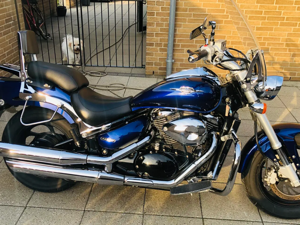 Billede 5 - Suzuki VZ 800 Intruder