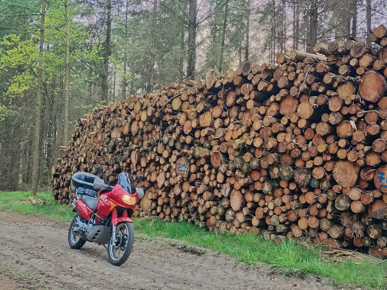 Billede 9 - Honda Transalp XL 650 V