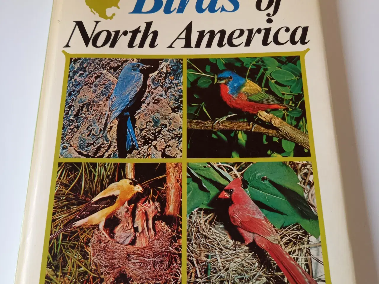 Billede 1 - Birds of North America af Bertel Bruun