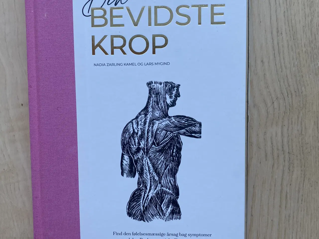 Billede 1 - Din Bevidste Krop