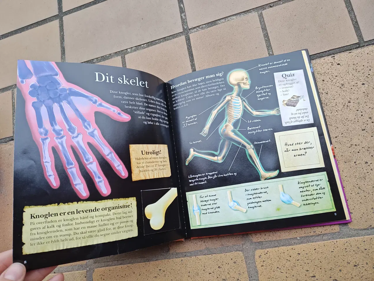 Billede 2 - Din Fantastiske Krop Menneskekroppen BOG