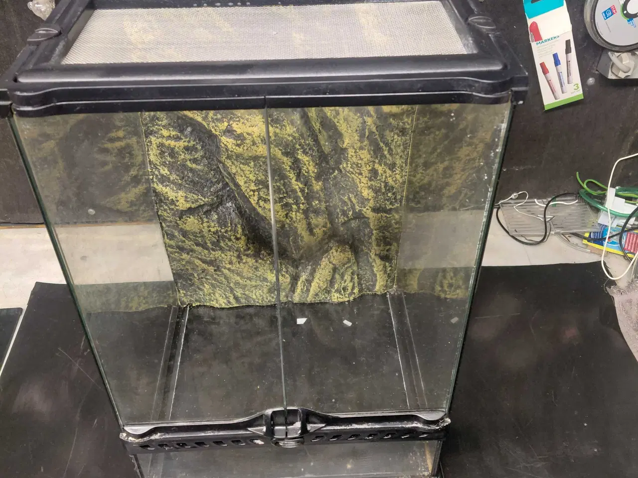 Billede 4 - Exo Terra Glass Terrarium